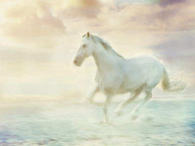Fototapeta Malowniczy koń