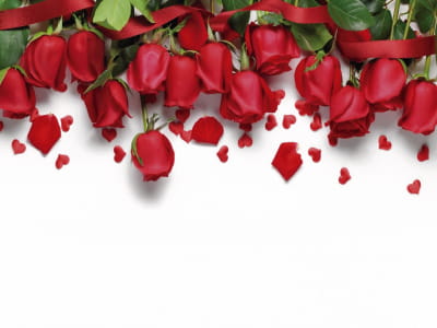 Fototapeta Piękne czerwone róże