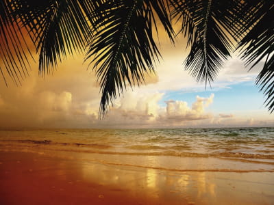 Fototapeta Zachód słońca palmy morze