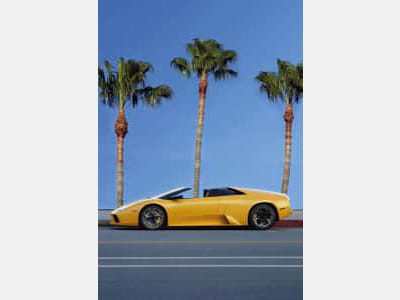 Fototapeta Żółte Lamborghini i palmy