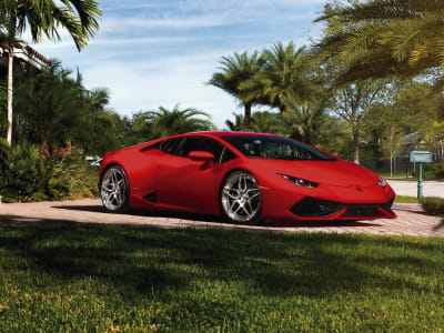 Fototapeta Czerwone Lamborghini