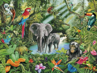 Fototapeta Tropikalne zwierzęta