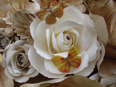 Fototapeta Duże róże i motyle