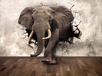 Fototapeta Potężny słoń