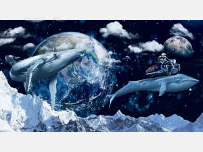 Fototapeta Kosmiczne wieloryby