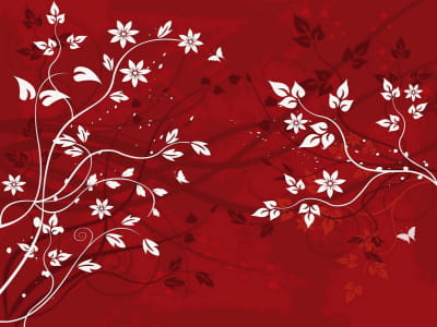 Fototapeta Białe liście na czerwonym tle