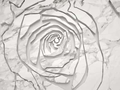 Fototapeta Wytłoczona róża na marmurze