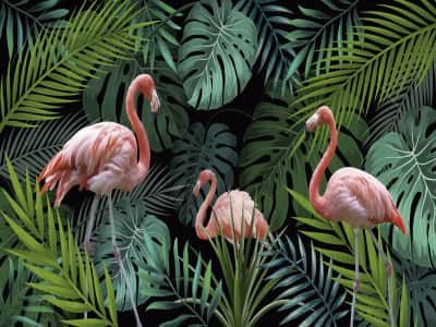 Fototapeta Flamingi w dżungli