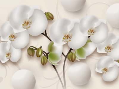 Fototapeta Biała orchidea i kule
