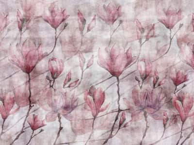 Fototapeta Kwitnące kwiaty magnolii