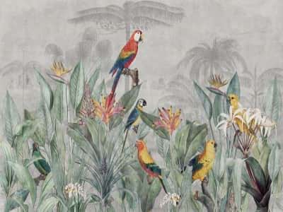 Fototapeta Papugi w tropikach