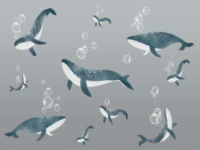 Fototapeta Wieloryby pod wodą