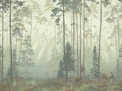 Fototapeta Niedźwiedzie w mglistym lesie