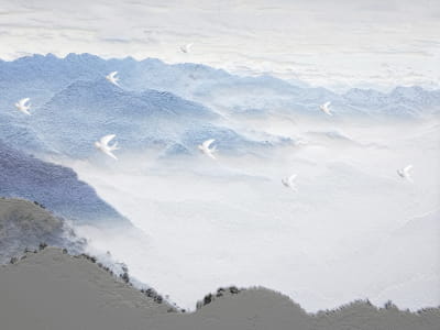 Fototapeta Białe ptaki nad górami