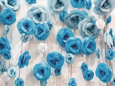 Fototapeta Ściana niebieskich róż