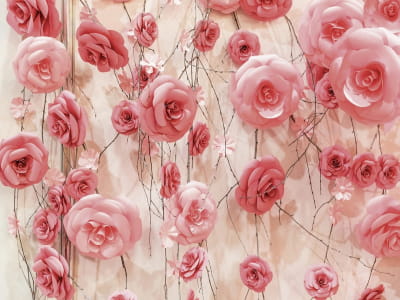 Fototapeta Ściana róż w kolorze pudru