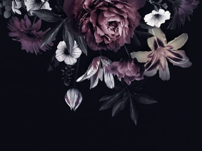 Fototapeta Kwiaty w ciemności