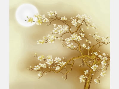 Fototapeta Kwitnąca złota magnolia