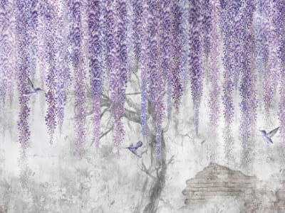 Fototapeta Kwitnąca fioletowa wisteria