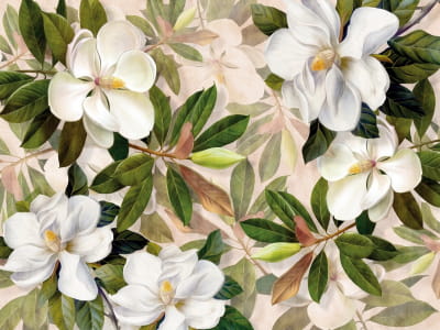 Fototapeta Mleczna magnolia