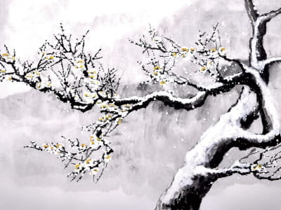 Fototapeta Drzewo w śniegu