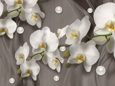 Fototapeta Białe orchidee 3D