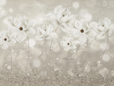 Fototapeta Zimne kwiaty