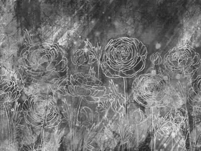 Fototapeta Duże róże, rysunek
