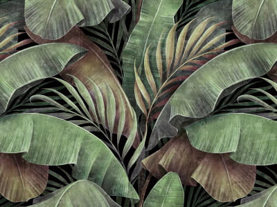 Fototapeta Rośliny tropikalne, rysunek