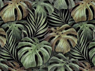 Fototapeta Liście roślin tropikalnych