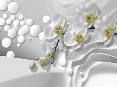 Fototapeta Biała orchidea 3D