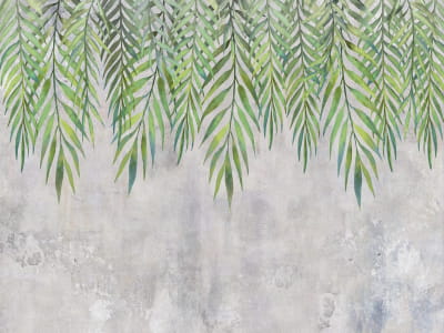 Fototapeta Zwisające zielone liście palmy