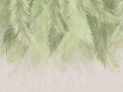 Fototapeta Zielone liście palm