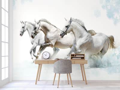 Fototapeta Trzy białe konie