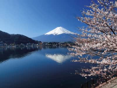 Fototapeta Jezioro na górze Fuji