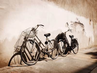 Fototapeta Stare rowery