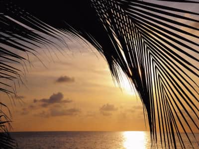 Fototapeta Tropikalna plaża o zachodzie słońca
