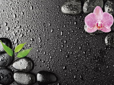 Fototapeta Orchidea i krople deszczu