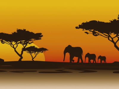 Fototapeta Zachód słońca w Afryce