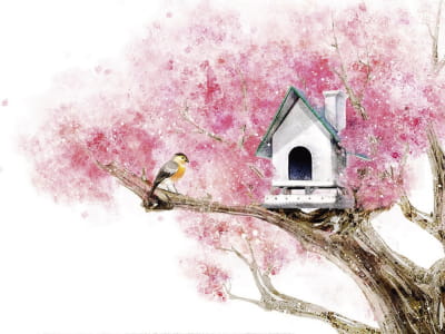 Fototapeta Birdhouse na drzewie