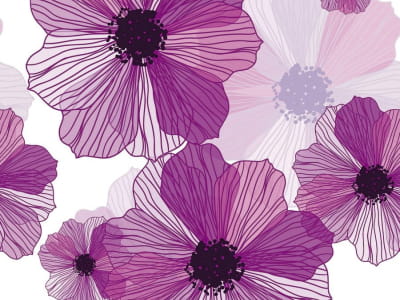 Fototapeta Duże fioletowe kwiaty