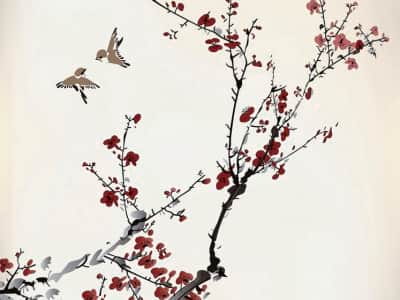 Fototapeta Sakura i ptaki