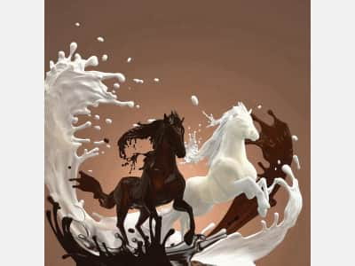 Fototapeta Konie z mlecznej czekolady