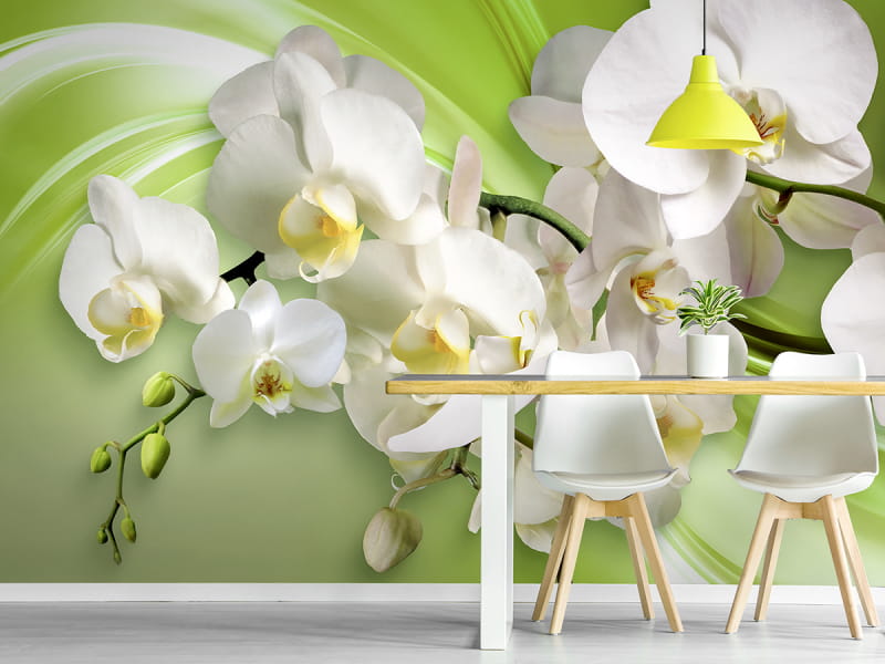 Fototapeta Orchidee na zielonym tle we wnętrzu kuchni