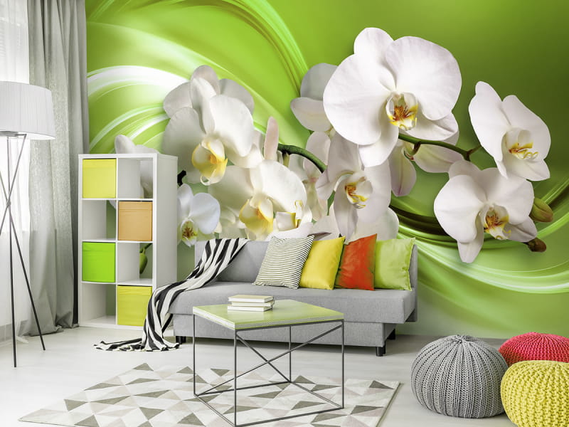 Fototapeta Orchidee na zielonym tle we wnętrzu salonu