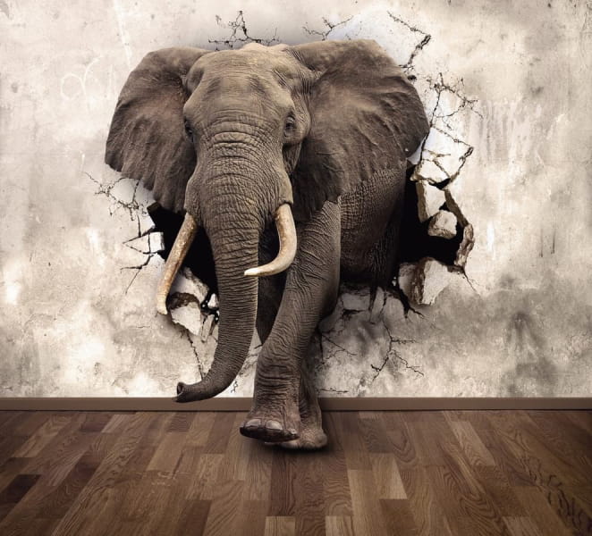 Fototapeta Potężny słoń