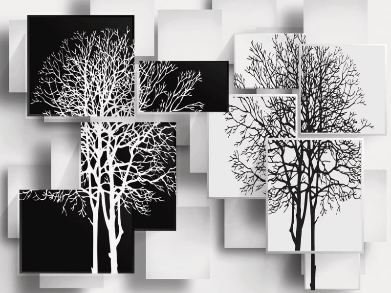 Fototapeta Czarno-białe drzewa
