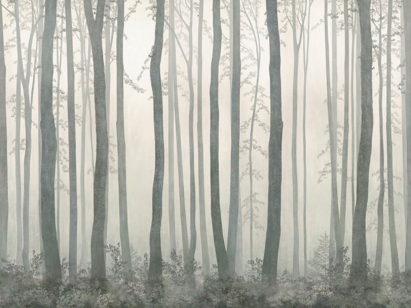 Fototapeta Drzewa we mgle
