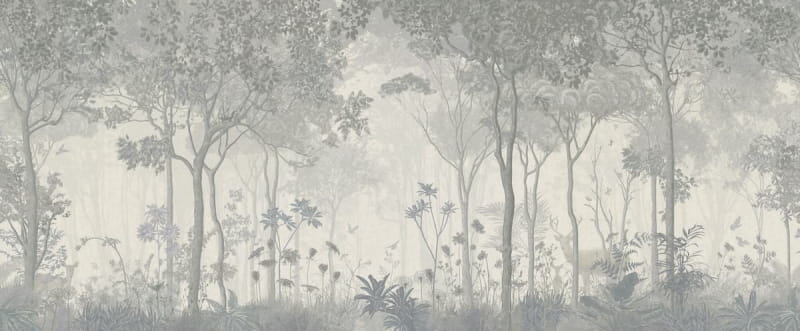 Fototapeta Rano w mglistym lesie