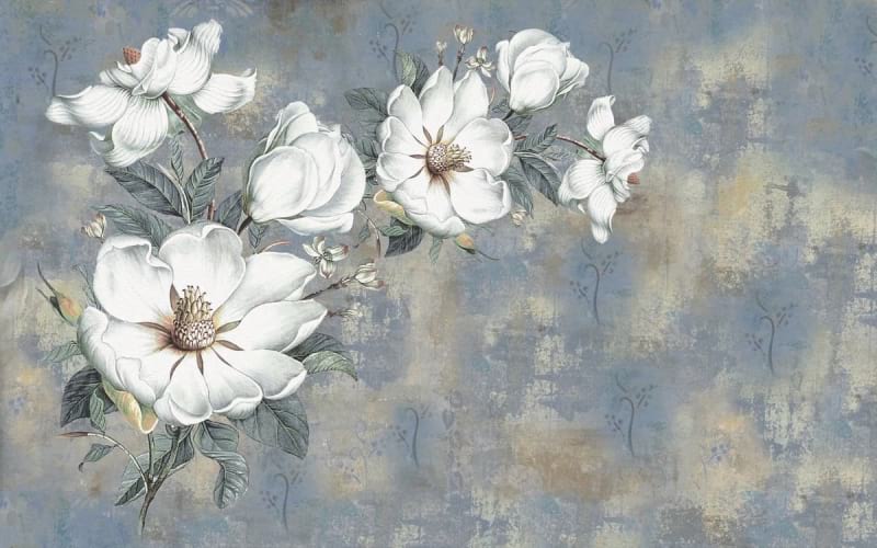 Fototapeta Biała magnolia